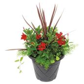 Fernlea Flowers Patio Planter - Rio - 13-in Various Colours