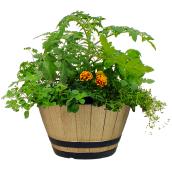 Fernlea Flowers 12-in Vegetable and Herb Barrel Planter