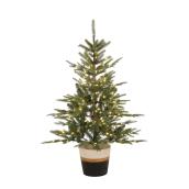 Holiday Living 4-ft Pre-Lit Potted Christmas Tree with 180 Warm White LED Lights