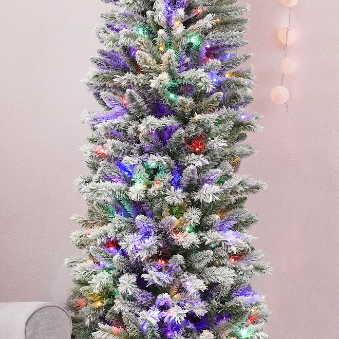 Comment floquer un sapin avec Winter Color ? - EdenColor