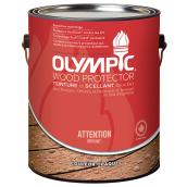 Teinture et scellant d'extérieur pour bois Olympic, opaque, base 2, 3,78 l