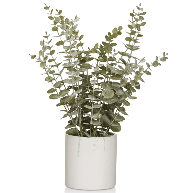 Plante artificielle eucalyptus en pot de céramique par Bouclair, 14,5 po