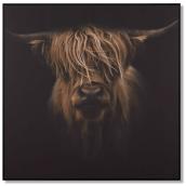 Bouclair 35 x 35-in Scottish Cattle Printed Canvas