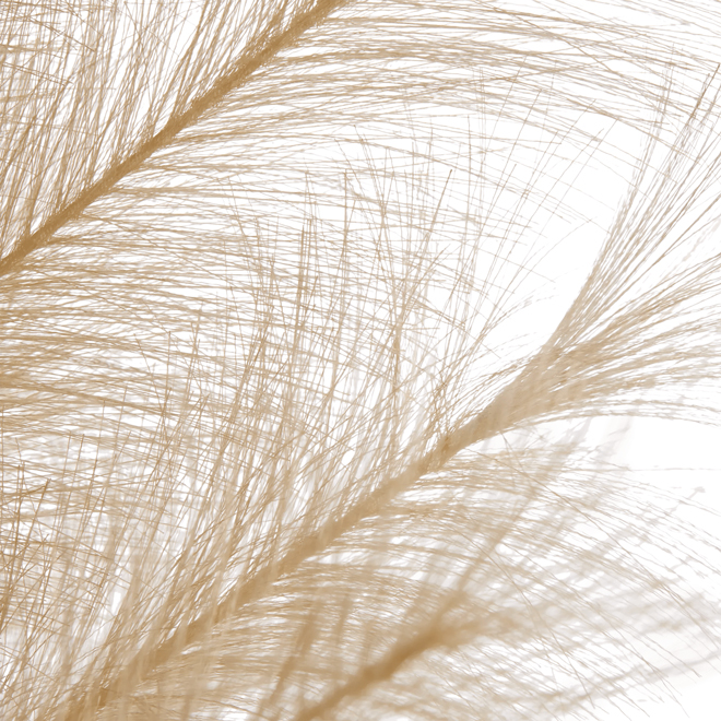 Bouclair 46-in Artificial Pampas in Vase