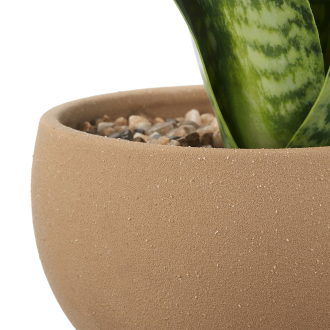 Plante artificielle en pot de céramique beige par Bouclair, 4,7 po