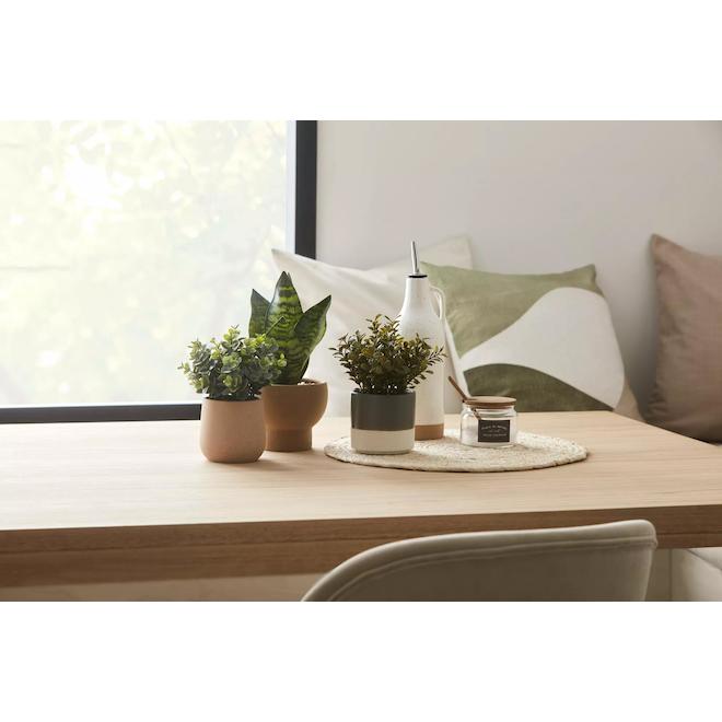 Plante artificielle en pot de céramique beige par Bouclair, 4,7 po