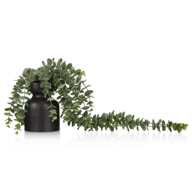 Plante artificielle eucalyptusen cascade dans un pot de céramique  par Bouclair , 3,25 x 9,5 po