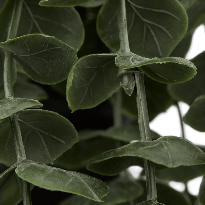 Plante artificielle eucalyptusen cascade dans un pot de céramique  par Bouclair , 3,25 x 9,5 po