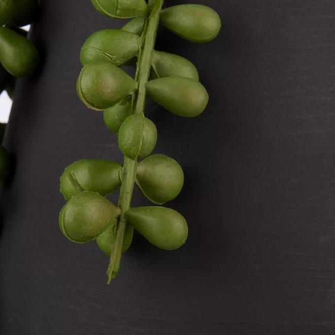 Plante artificielle en pot de céramique noire par Bouclair, 3,5 x 5 po