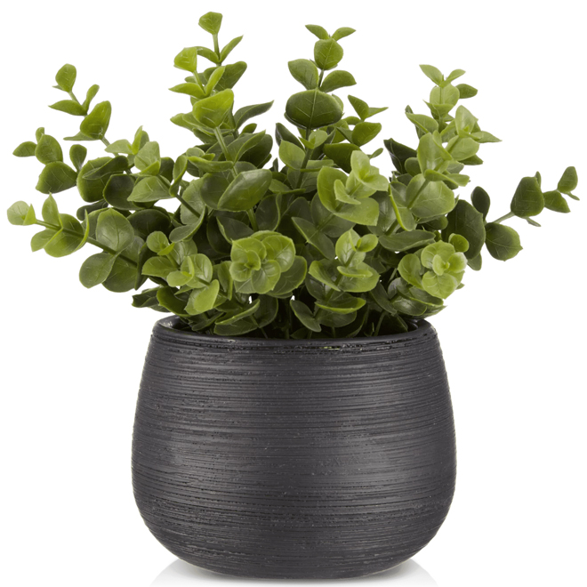 Bouclair Artificial Plant in a Ceramic Pot - 5-in