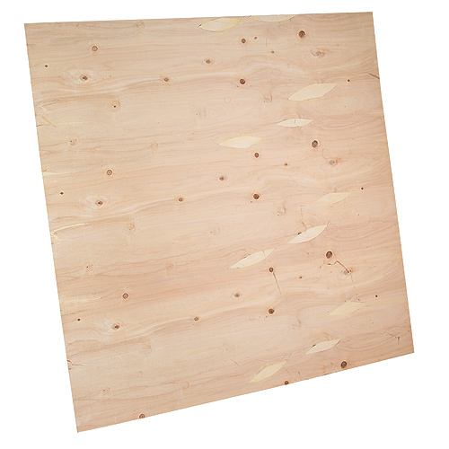 Guangdong Subfloor Panel - 4-ft L x 4-ft W - Poplar - Natural