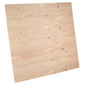 Guangdong Subfloor Panel - 4-ft L x 4-ft W - Poplar - Natural