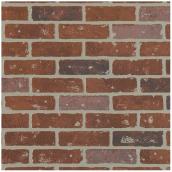 Richelieu Terracotta Wall Panel - Prefinished Hardboard - Antique Brick - 1/4-in T x 4-ft W x 8-ft H