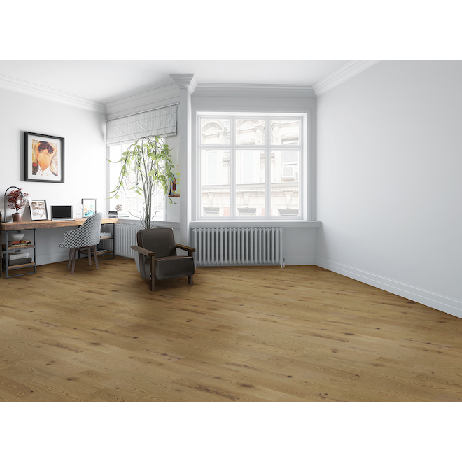 Plancher de bois franc canadien de chêne Monaco brun pâle Goodfellow, 20 pi²/bte