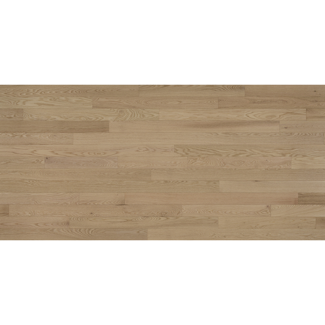 Plancher de bois franc Voile Goodfellow, 3/4 po ép. X 3 1/4 po l., chêne