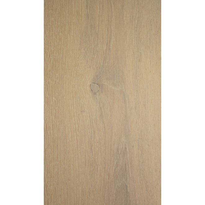 Plancher en bois d'ingénierie SCP Goodfellow 6,5 po x 48 po x 6,8 mm, érable, miel