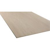 Plywood - Maple Plywood