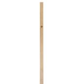 Solid Knotty Pine 1-in x 10-in x 8-ft