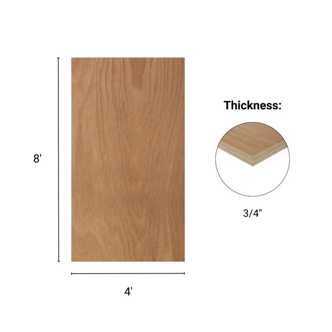 Red Oak Plywood 3/4-in x 4-ft x 8-ft