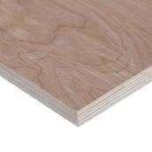 Birch Plywood 3/4-in x 4-ft x 8-ft
