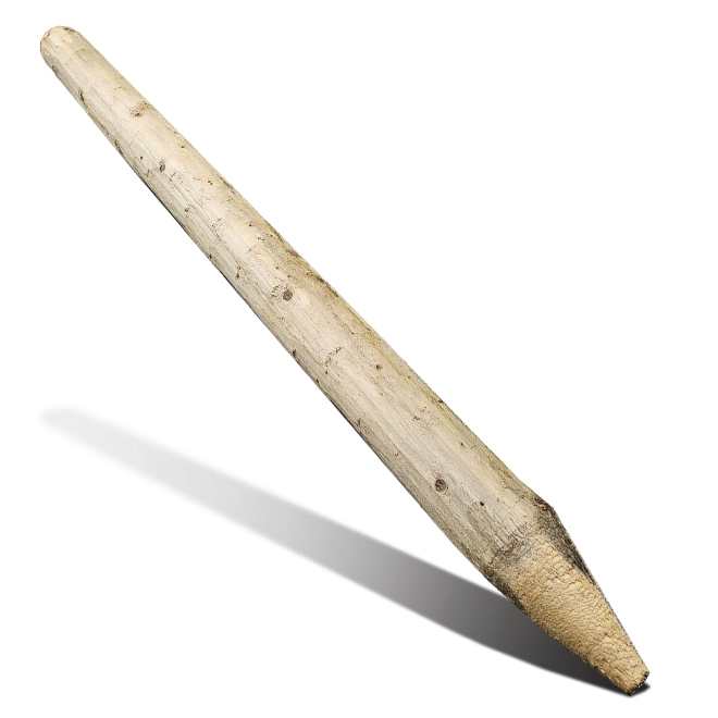 CanWel Agricultural Pointy Post in Unfinished Pine - 6-7-in x 8-ft