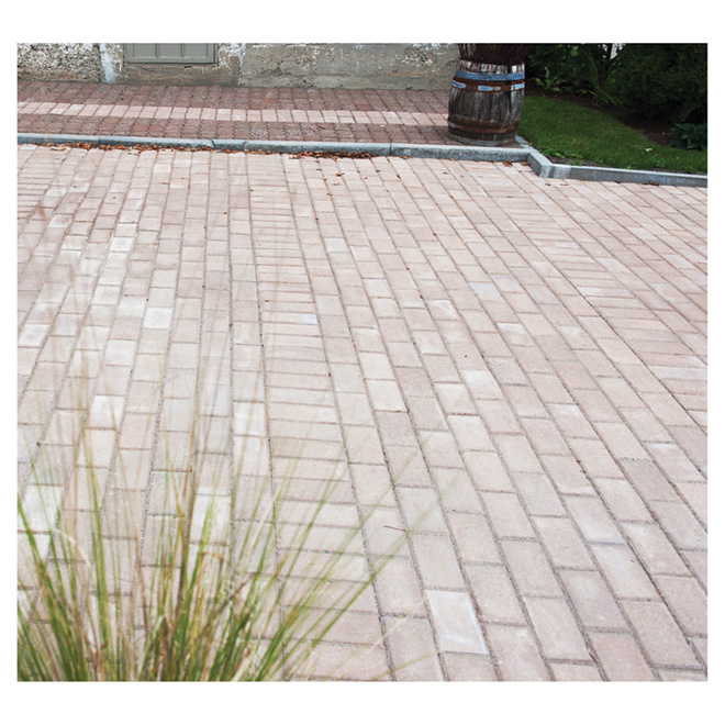 Patio Drummond 50-mm Paver Style Patio Stone - 8.75-in x 4.13-in ...