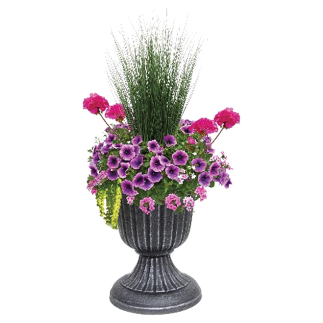 Outdoor Annual Floral Arrangement 16 Urn Up16 Rona