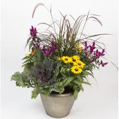 Assorted Fall Arrangement - 13-in Container