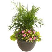 Jardinière d'annuelles assorties en pot de 19 po