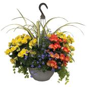 Hanging Basket of Annual Flowers - 13-in - Assorted Colours