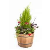 Floral Arrangement with Cedar - 14-in Barrel Planter - Assorted
