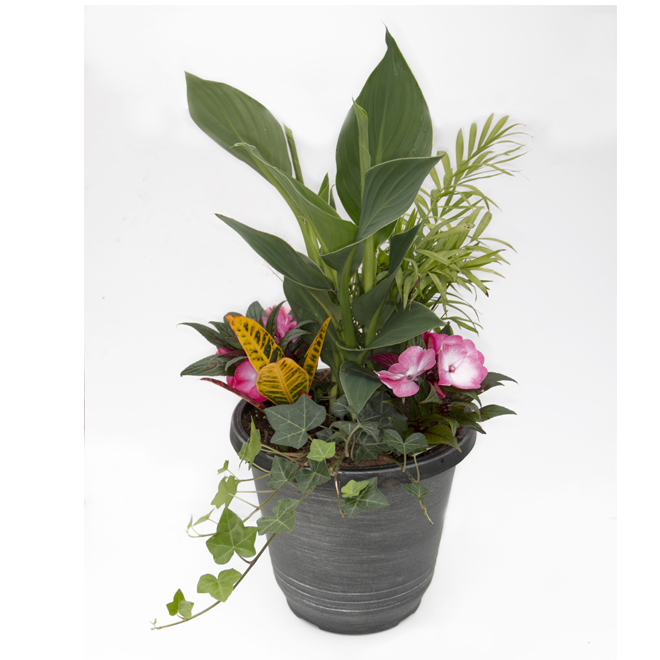 Tropical Flower Arrangement in 13-in Patio Pot - Assorted Colours