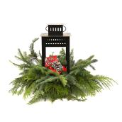 Devry Greenhouse - Outdoor Greenery with Lantern - Indoor Use - Assorted