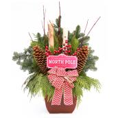 CELEBRATIONS BY L&CO Natural Floral Holiday Arrangement - Decorative Planter - 15-in - Assorted