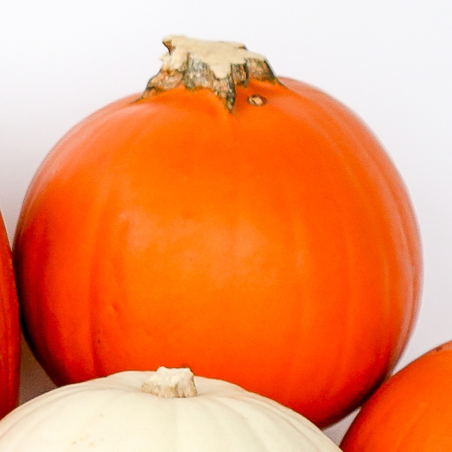 Small Sugar Pumpkin - Orange