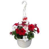 Devry Greenhouse Hanging Basket - Canada Day - 10-in - Assorted Colours