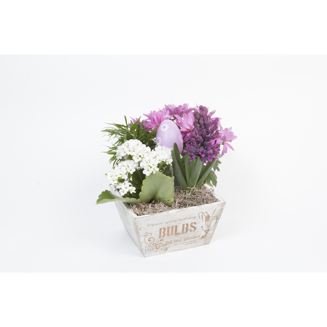 Early Spring Planter with Easter Decoration - Assorted