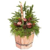 Devry Greenhouse - Planter - Cedar Basket - 16-in
