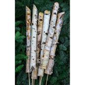Devry Greenhouse - Birch Wood - 3-in - Pack of 3