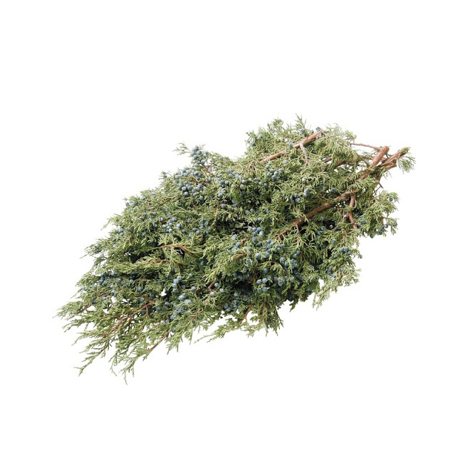 Devry Greenhouse Juniper Berries - 1.5 lb