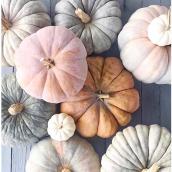 Citrouille moyenne, pastel assorti