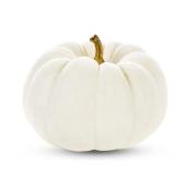 Citrouille Casper, blanc