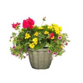 Annuals Planter for Mother's Day - 13-in