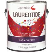 Peinture intérieure pour plafond, latex, 3,78 l, blanc, mat
