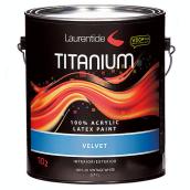 General Paint - Interior and Exterior Paint - 3.78 L - Super White - Velvet