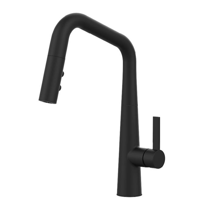 Pfister Buxton Kitchen Pull-Down 1-Handle Faucet in Matte Black