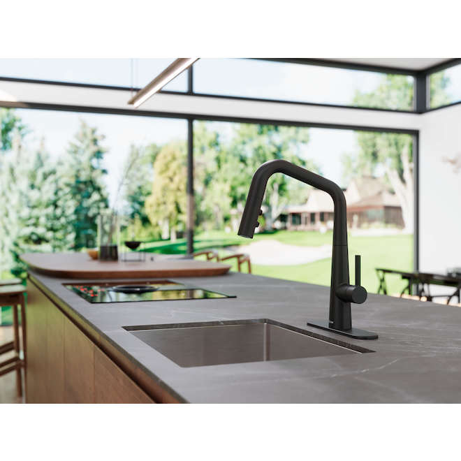 Pfister Buxton Matte Black Kitchen Faucet with Pull Down Sprayer, High Arc Single Handle with Optional Deckplate