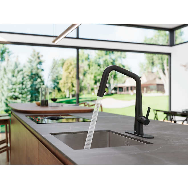 Pfister Buxton Matte Black Kitchen Faucet with Pull Down Sprayer, High Arc Single Handle with Optional Deckplate
