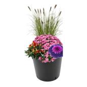 Fall Floral Arrangement with Ornamental Pepper - 12-in - Assorted Colours