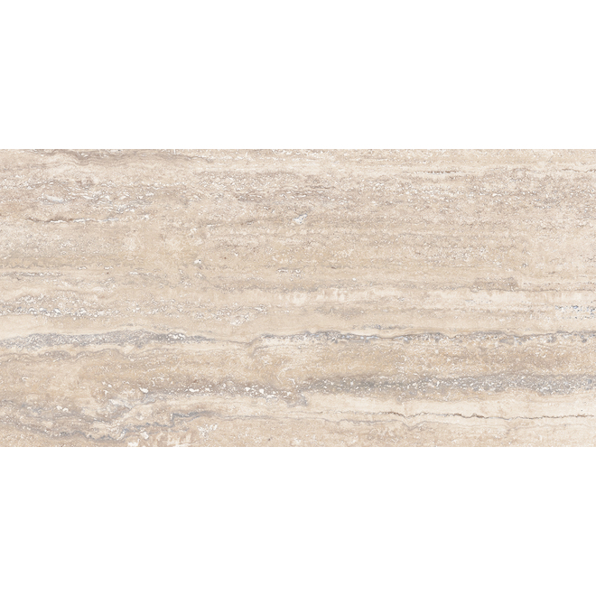 Allen + Roth Trevi Argento Porcelain Tiles - 12-in x 24-in - 8 per Box ...